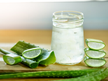 aloe vera pflanze anwendung gel gewinnen selbst herstellen