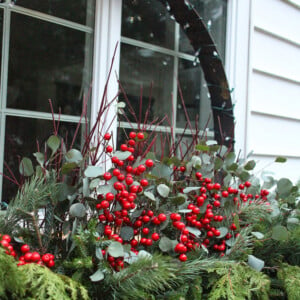 blumenkasten weihnachtlich dekorieren fenster ilex beeren tannenzweige