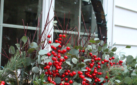 blumenkasten weihnachtlich dekorieren fenster ilex beeren tannenzweige