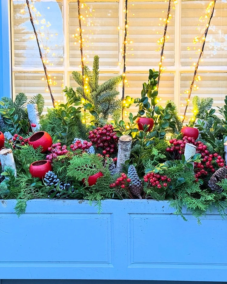 blumenkasten weihnachtlich dekoriert lichtakzente