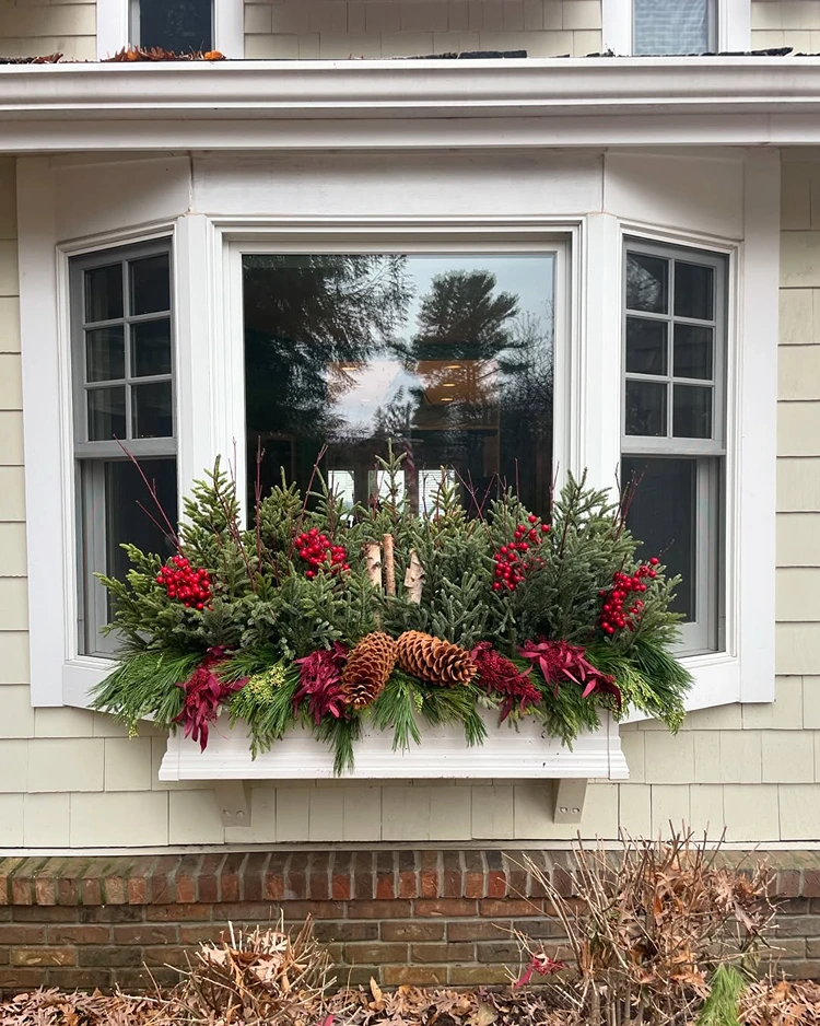 blumenkasten weihnachtlich dekoriert tanne zapfen beeren