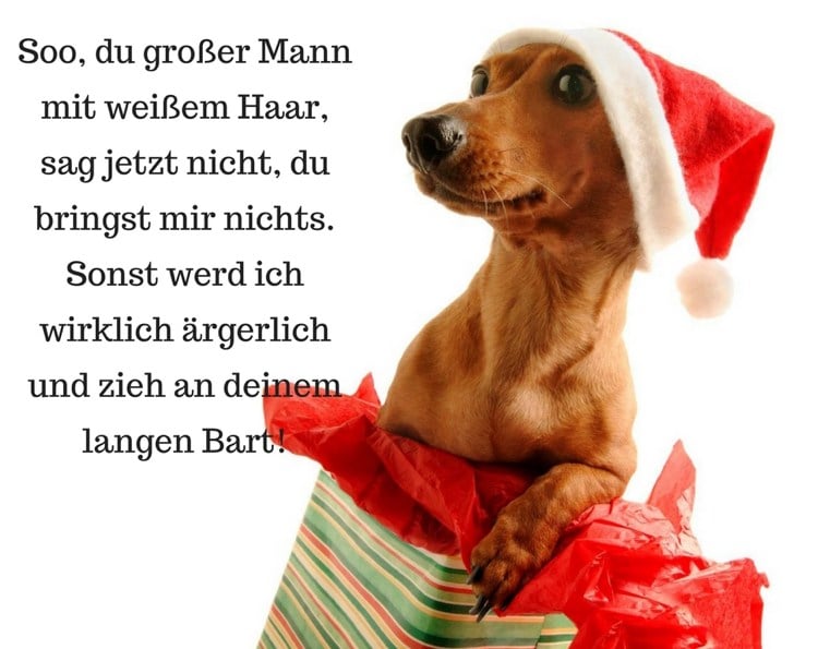 lustige weihnachtskarten ausdrucken sprüche wirzig hund
