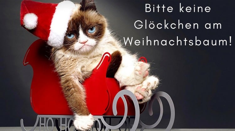 lustige weihnachtskarten katze ausdrucken grumpy cat
