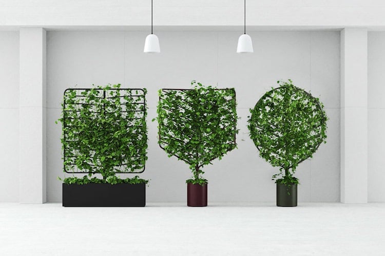 Rankhilfe aus Metall blattform design kletterpflanzen modern