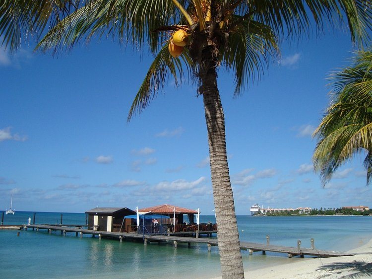 Karibik Aruba Sonne Palmen Reiseziele 2018