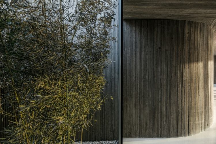 bepflanzung hof kieselsteine bambus betonwand textur