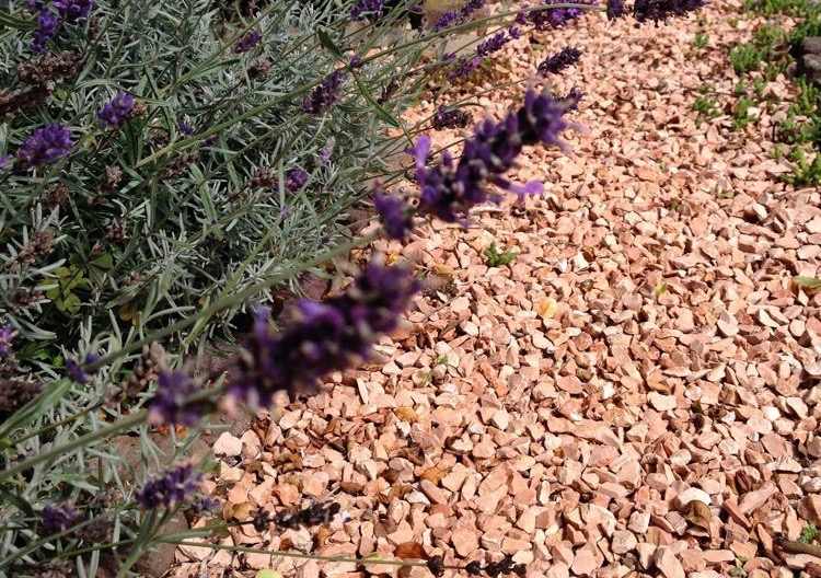 Garten gestalten mit Stein roter Splitt Lavendelstrauch mediterranes Gefühl