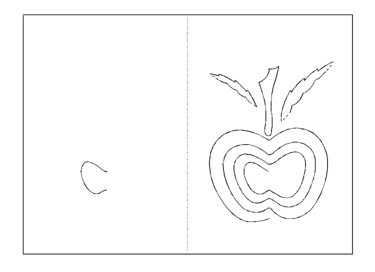 Pop-up Karte Apfel Spirale