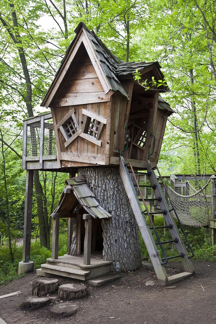 Baumhaus alter Baum Grundlage Tür