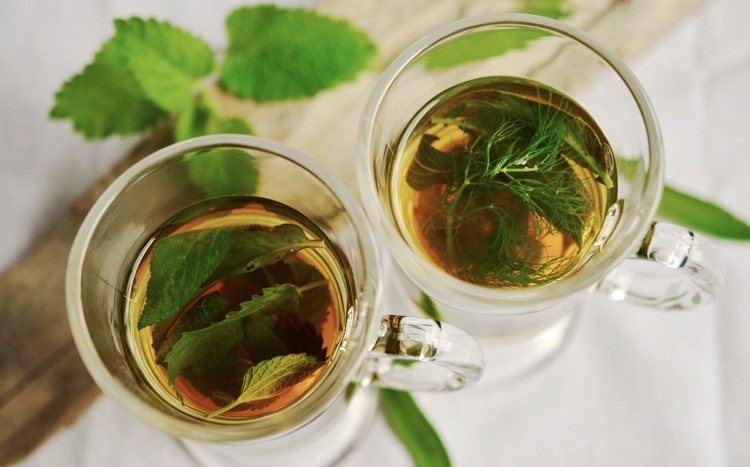 Heilkräuter Minze Dill Tee Wirkung Gesundheit