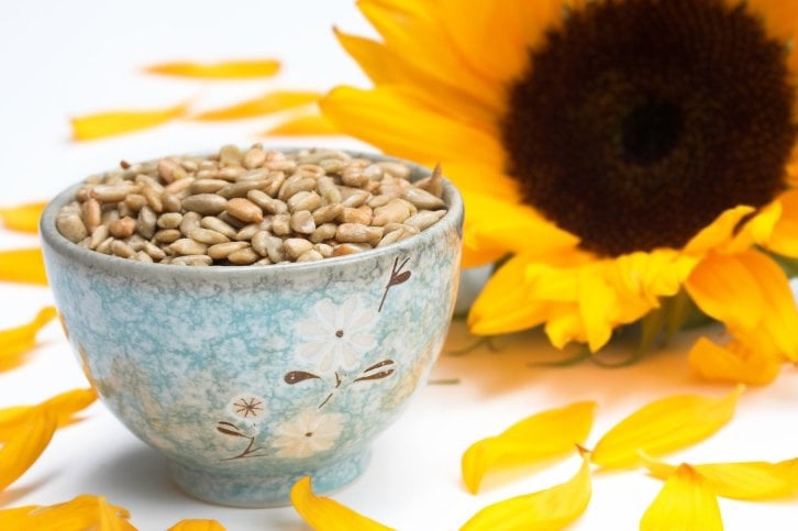 Sonnenblumenkerne Folsäure Omega 3 6 Ballaststoffen, Vitamin E Serotonin
