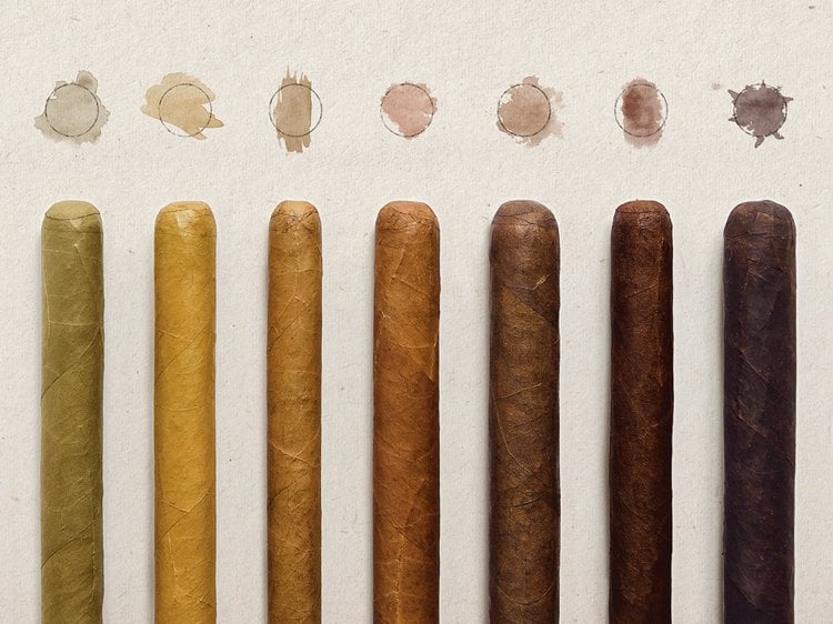 Zigarren Guide für Anfänger Deckblätter Farben