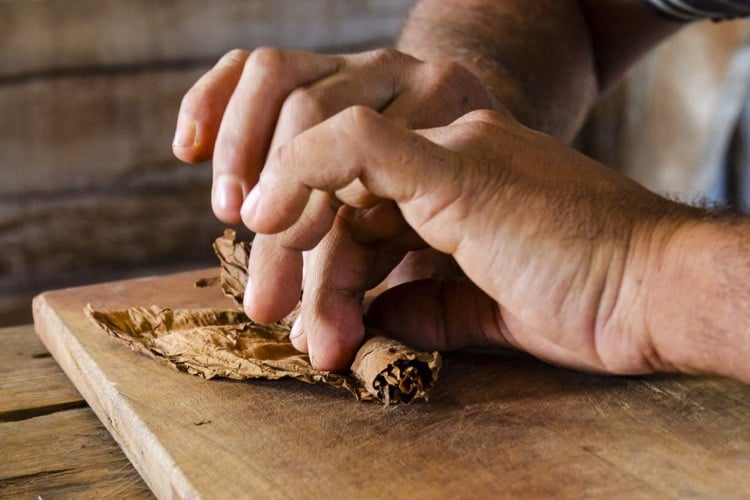 Zigarrenherstellung Tabakblätter per Hand gerollt