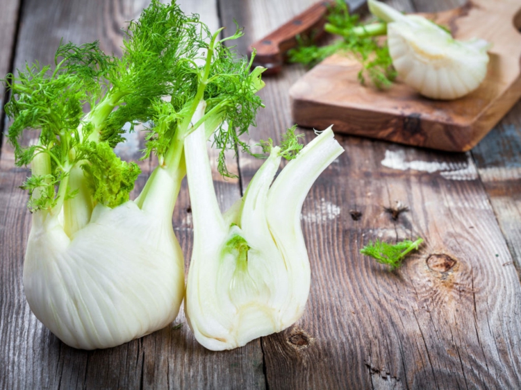 fenchel knolle aromatisch würzig