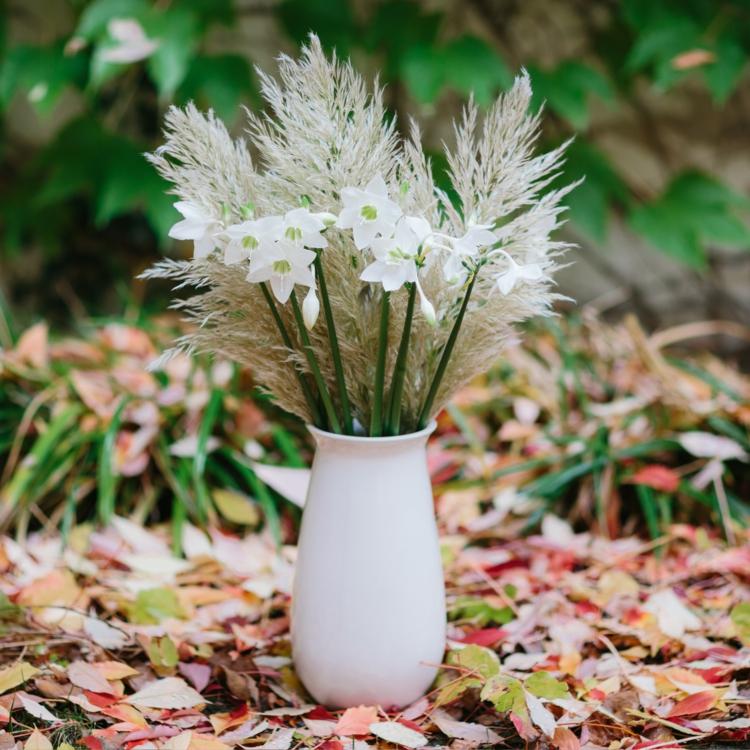 herbstliches blumenarrangement vase pampasgras narzisse vase