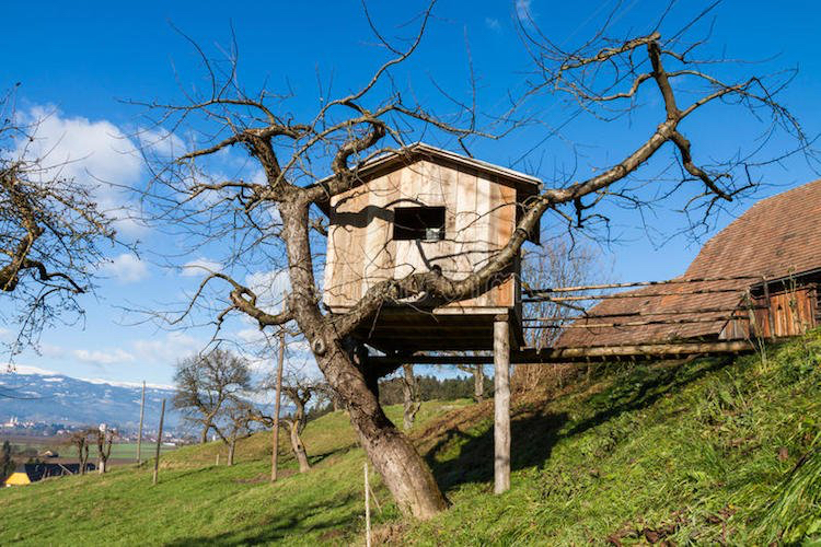 kleines Baumhaus auf Stelzen Brücke