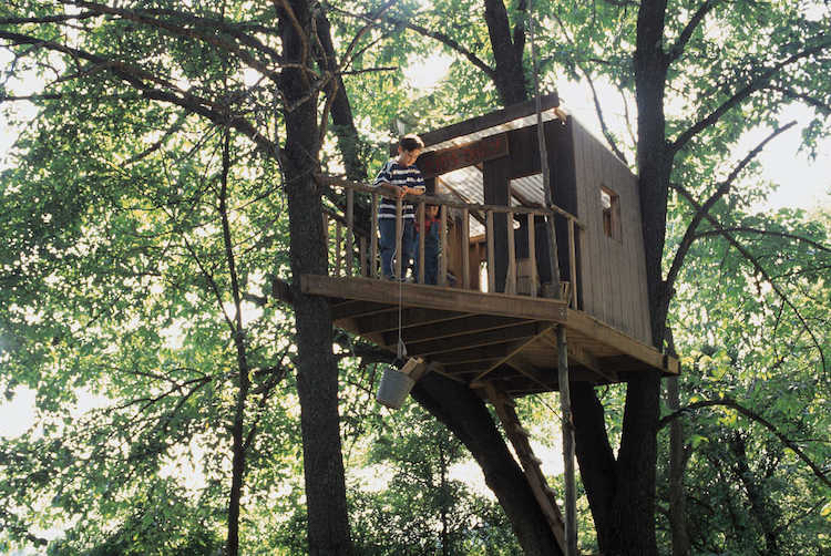 kleines Baumhaus für Kinder Plexiglas Dach