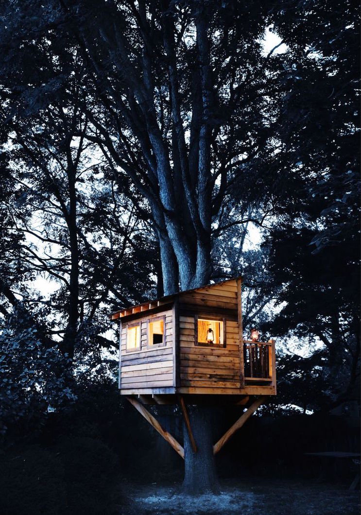 kleines Baumhaus großer Baum Übernachten