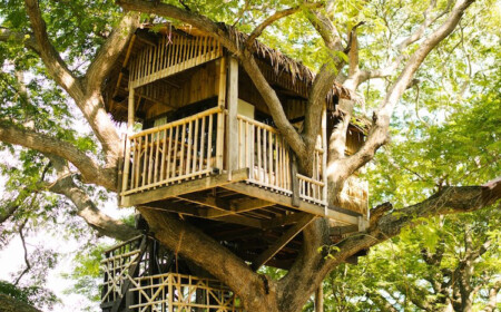 luxus baumhaus für kinder zwei Ebenen