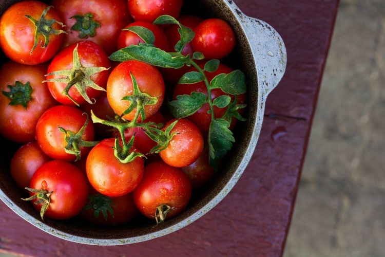 rote tomaten gemüse vitaminreich