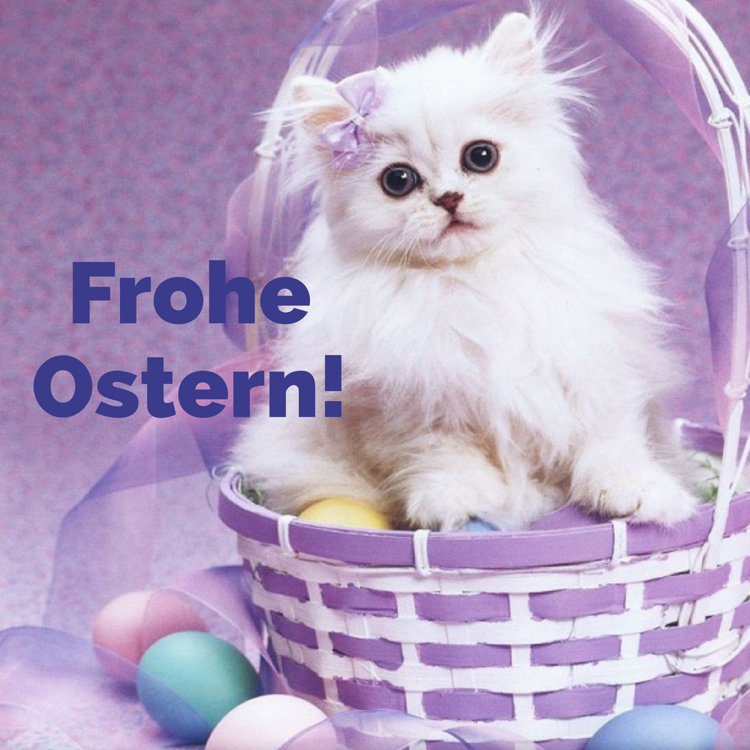 Frohe Ostern Bilder kostenlos Katze Osterkörbchen