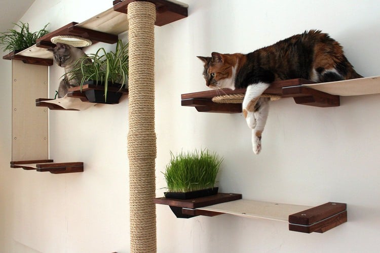 Katzen Kletterlandschaft Kratzbaum Ausruhplätze