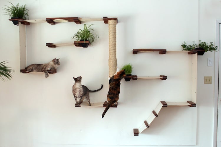 Katzen Kletterlandschaft mit integrierten Zimmerpflanzen