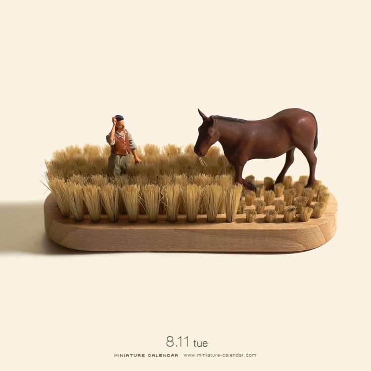 bürste pferd alltägliche gegenstände miniaturwelt fotografie