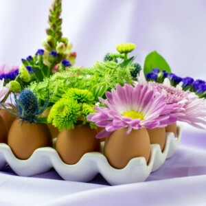 basteln zu ostern mit naturmaterialien-eierschalen-eikarton kleinkinder senioren