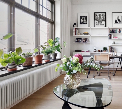 Die Richtigen Blumen Für Die Fensterbank Innen Auswählen