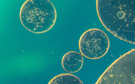 cannabinoide in hanföl eigenschaften CBD Öl Wirkung Anwendung