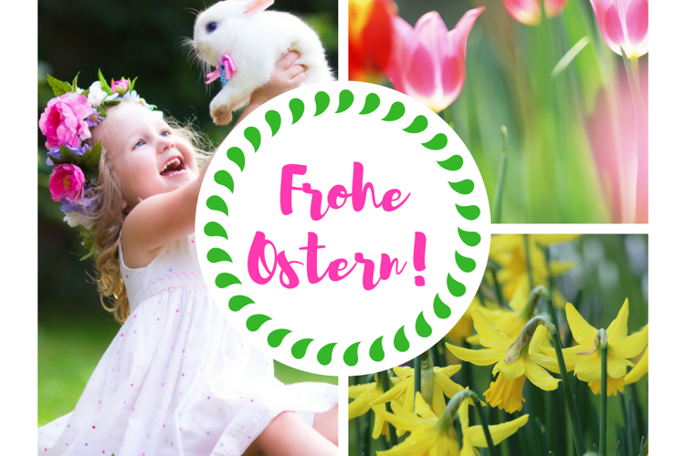 frohe ostern bilder whatsapp frühlingsblumen