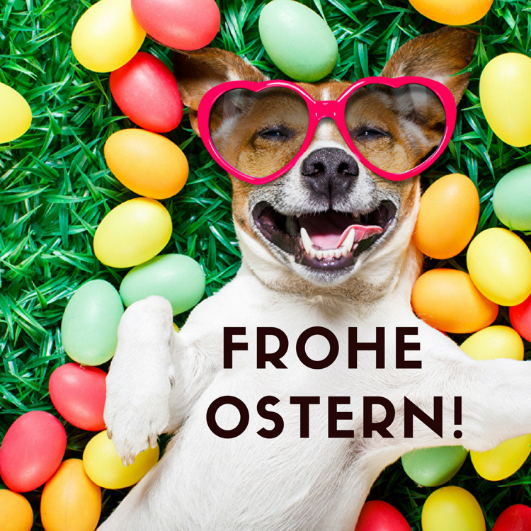 50 sch ne Frohe Ostern Bilder Ostergr  e kostenlos cool und lustig 
