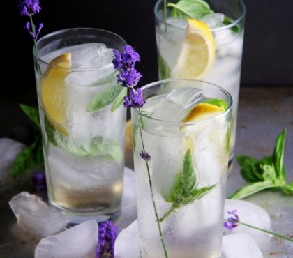 gin fizz lavendel minze zitronen longdrinkglas sommer cocktails garnieren