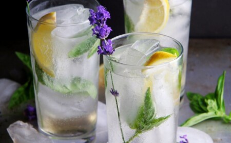 gin fizz lavendel minze zitronen longdrinkglas sommer cocktails garnieren