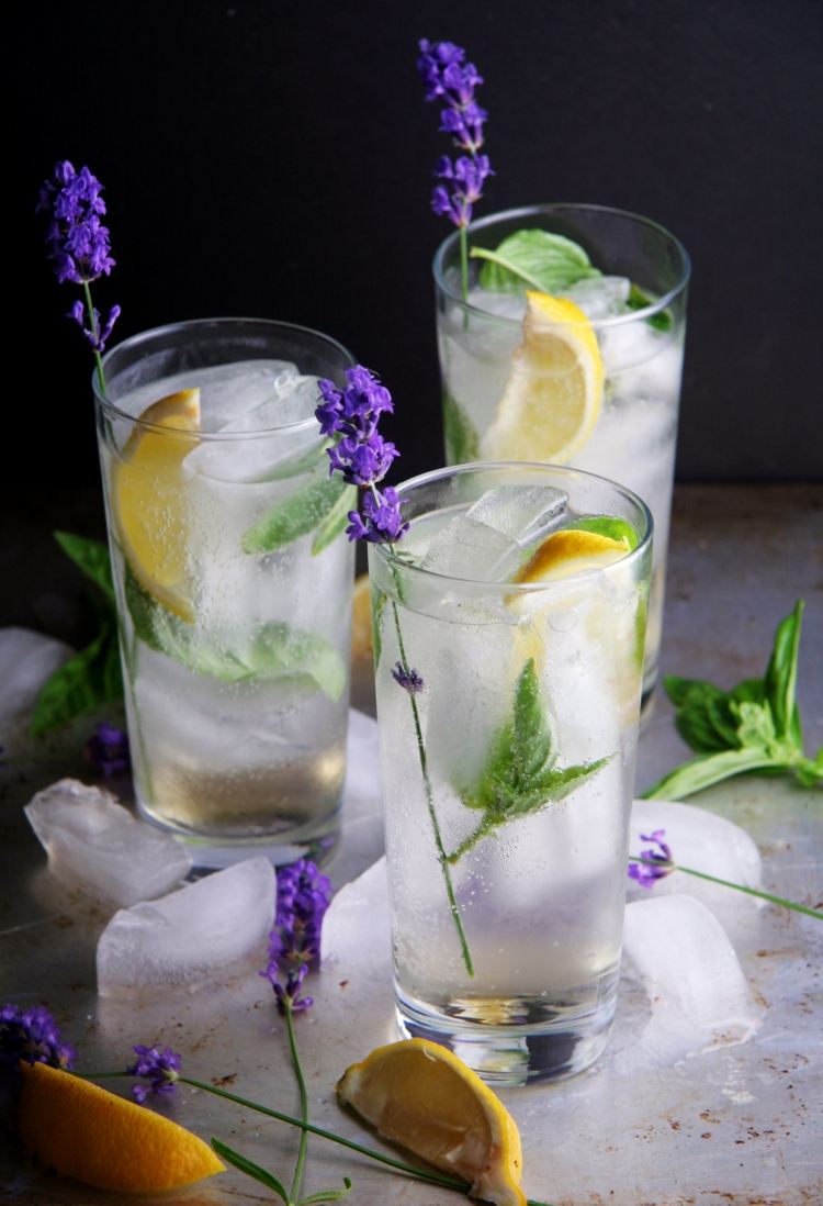 gin fizz lavendel minze zitronen longdrinkglas sommer cocktails garnieren
