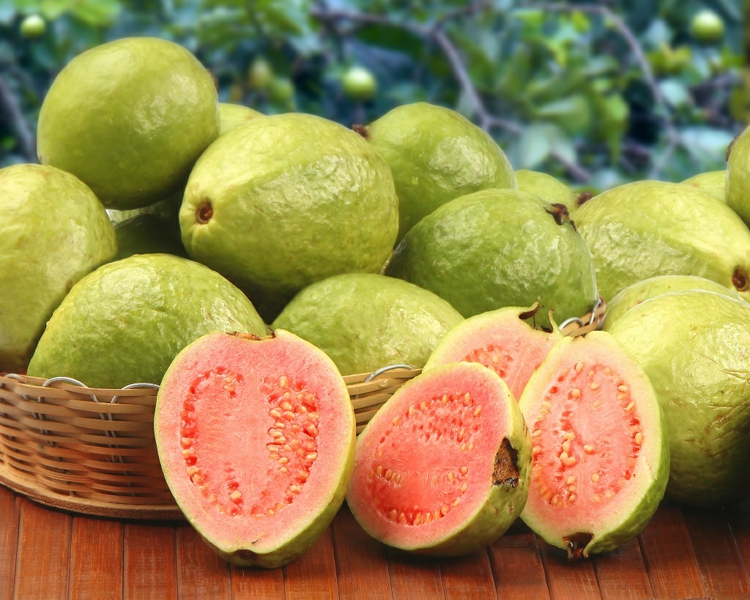 guave frucht darmtätigkeit regulierend ballaststoffreich