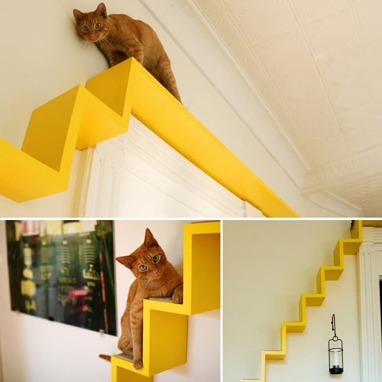 katzen kletterwand ideen Treppe über Tür