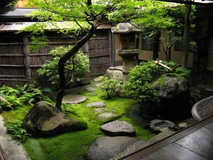 klassischer japanischer kleingarten bäume moos