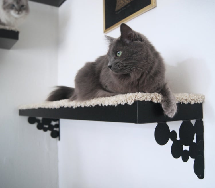 kletterwand für katzen selber bauen anleitung Ikea Regale Metall