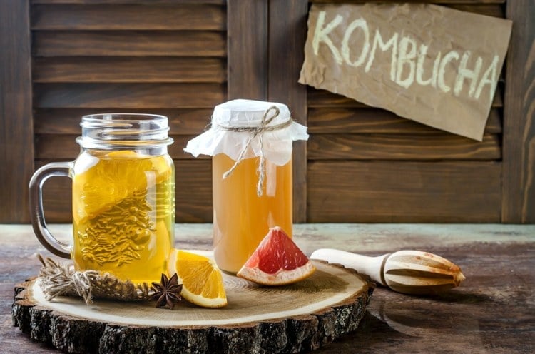 kombucha getrÃ¤nk gesunder darm rezepte pilz