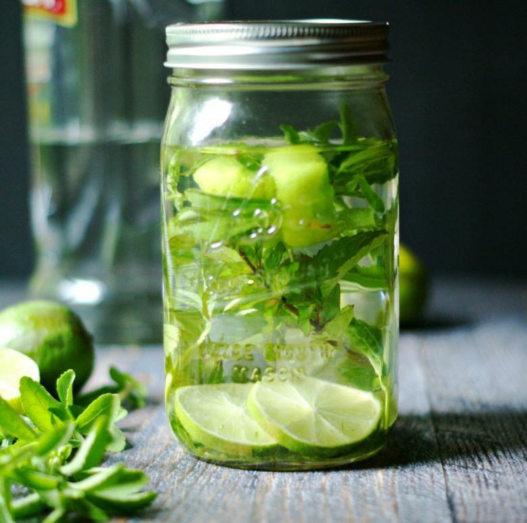 mojito minze stevia kräuter sommer cocktails