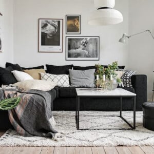 schöne zimmerpflanzen bunte blätter modernem interieur wohnzimmer couch