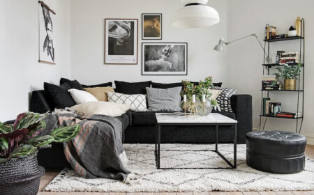 schöne zimmerpflanzen bunte blätter modernem interieur wohnzimmer couch