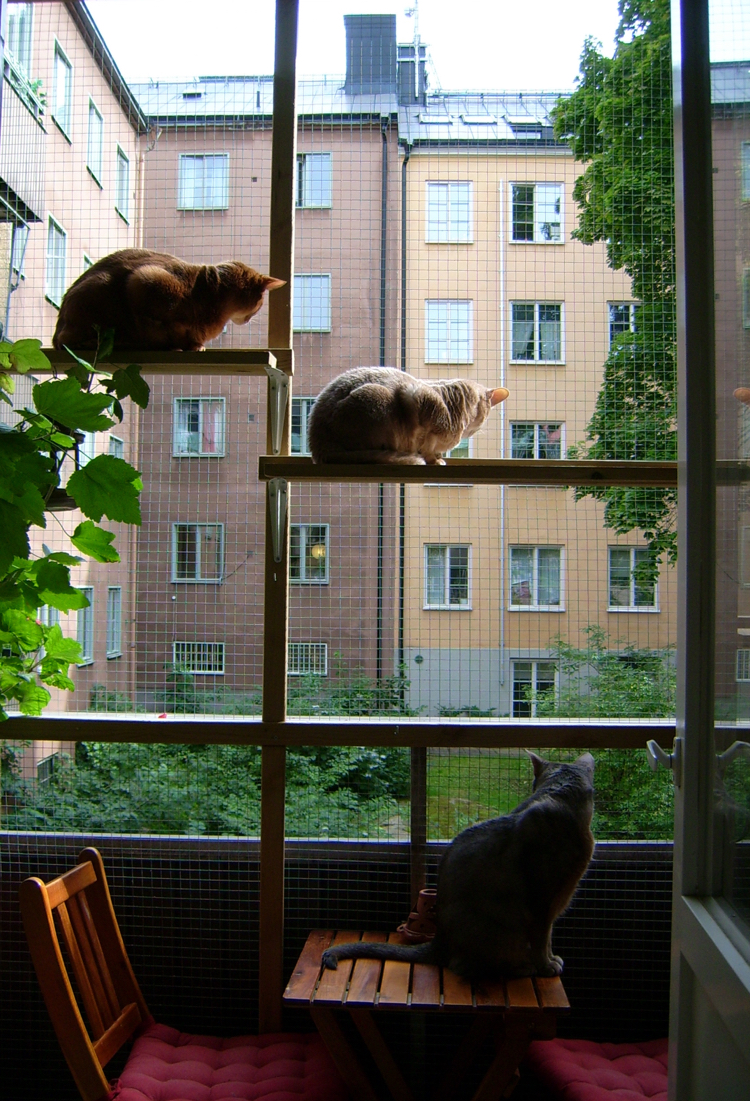 Katzen Balkon Schutz