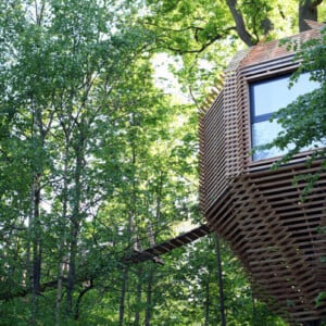 übernachten baumhaus natur holz architektur fenster wald grün