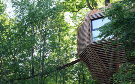 übernachten baumhaus natur holz architektur fenster wald grün