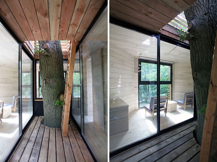 übernachten baumhaus natur innen aussen panoramafenster holz