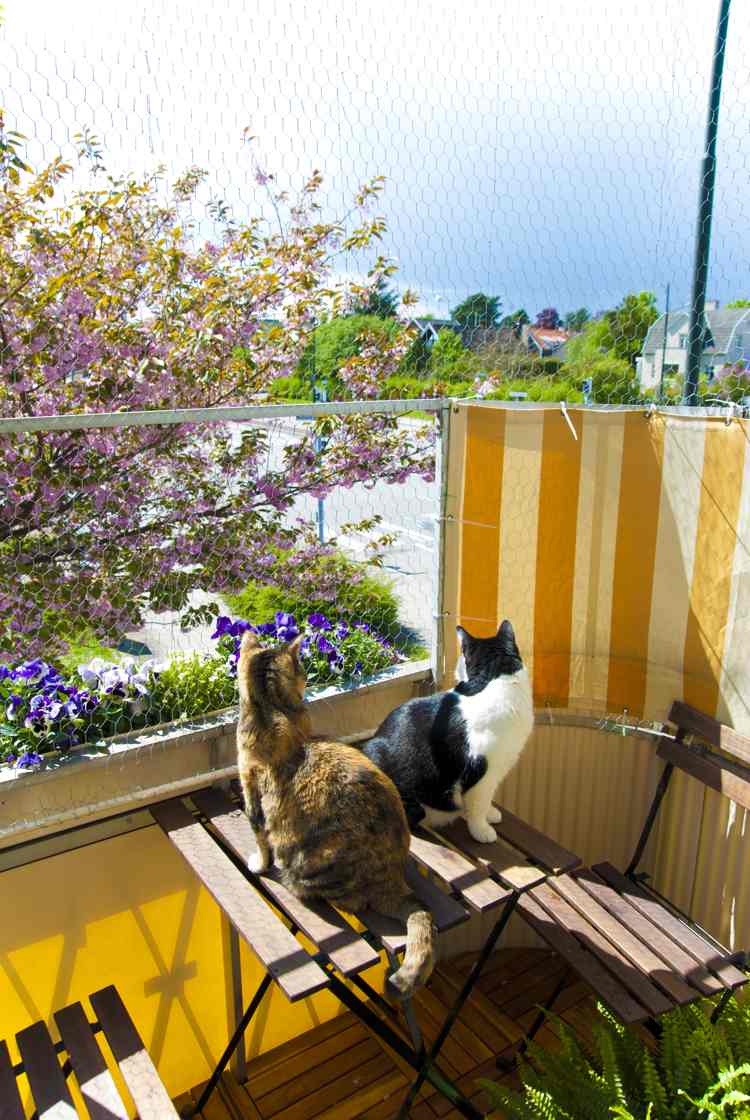 wie sichere ich einen balkon für katzen Kaninchendraht Stoff