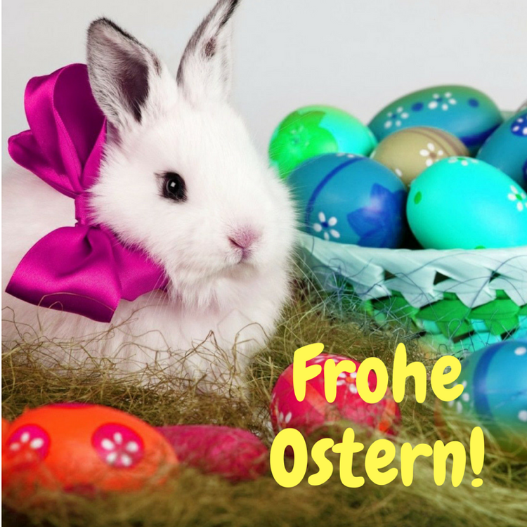 50 sch ne Frohe Ostern Bilder Ostergr  e kostenlos cool und lustig 
